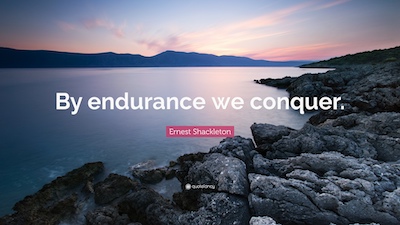 Endurance Quote