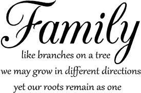  Family History Quote
