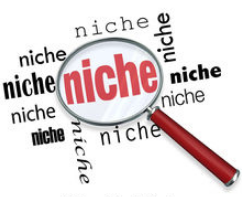 Find a Niche