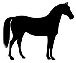 horse