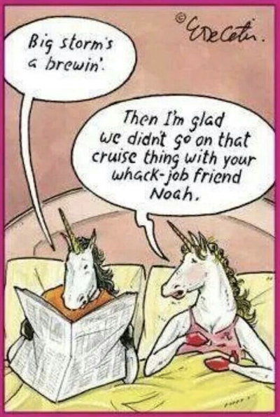 Unicorn Noah Funny Joke